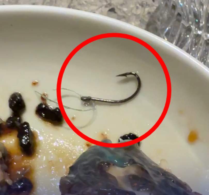 上海米其林餐厅,食客吃出鱼钩和鱼线!消费6000多元全免单,餐厅致歉