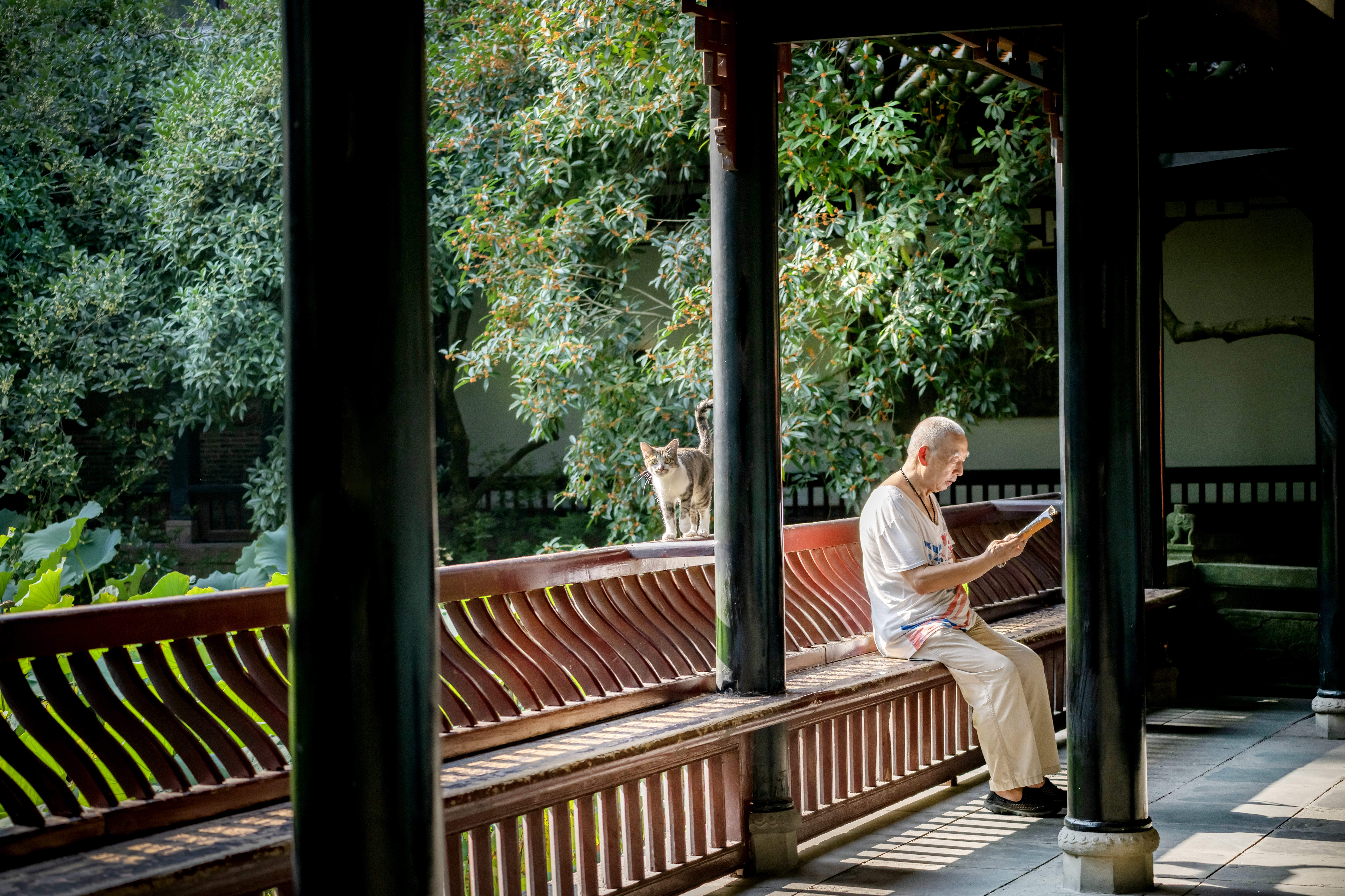 第五届全民阅读大会在南昌举办——最美阅读瞬间