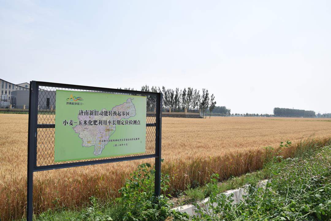 辐射带动15万亩，济南起步区全面推进“三新”集成推进县建设