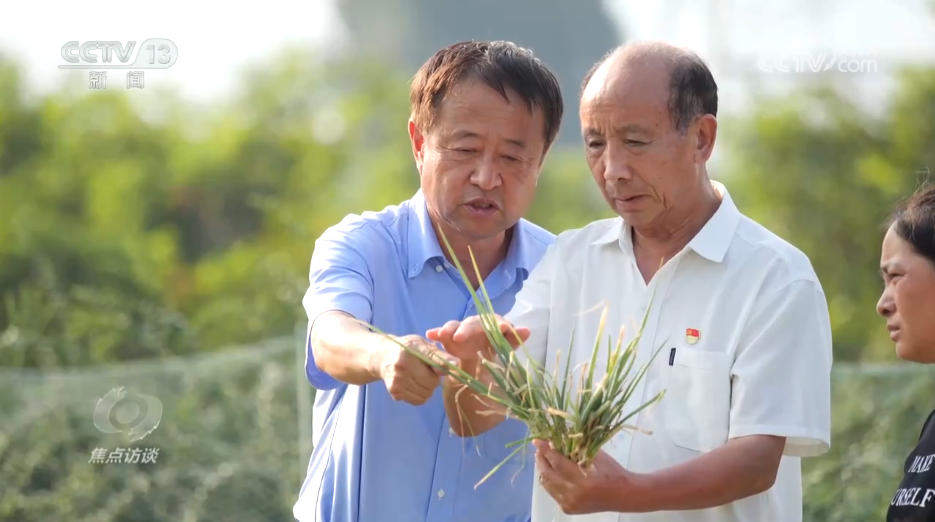 攥紧农业“芯片” 提稳中国“菜篮子”