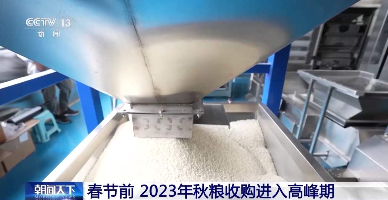 2023年秋粮收购进入高峰期 各地多举措保障粮农粮出手钱到手