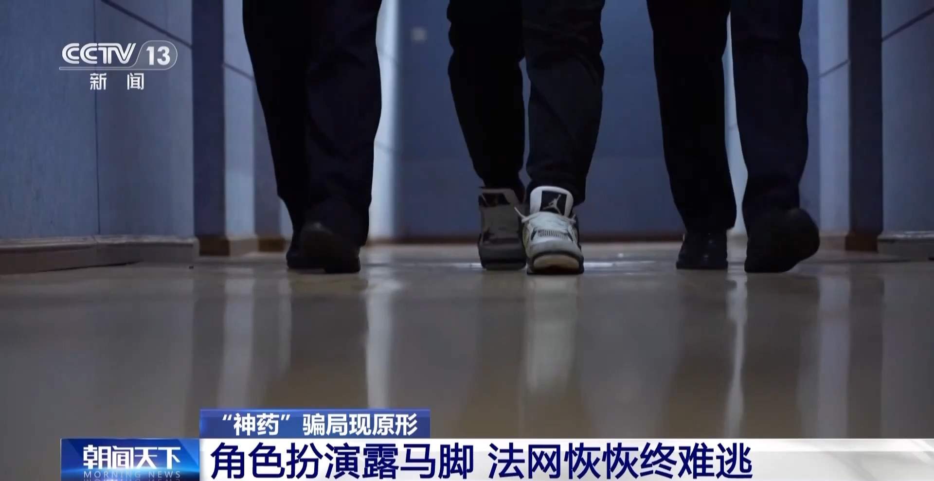 给廉价草药起名“黑虫草”“海底椰”高价卖 一诈骗团伙落网