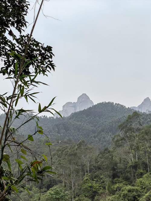 漳浦满足游客放松需求的凤凰温泉山庄