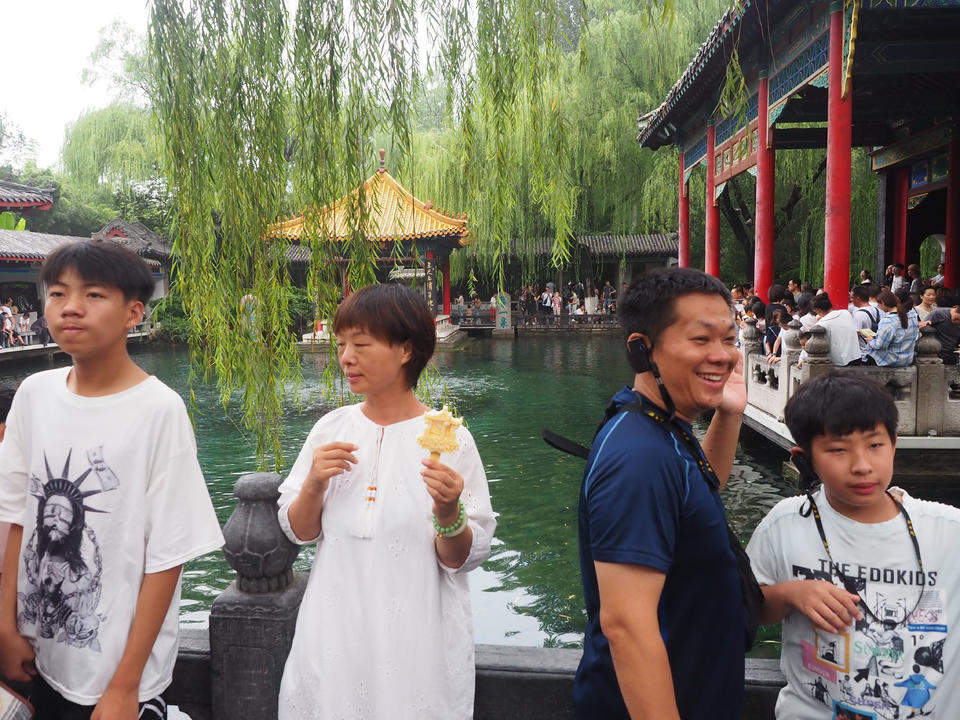 趵突泉游客留影的“黄金点位”，如今被垂柳枝条挡住了