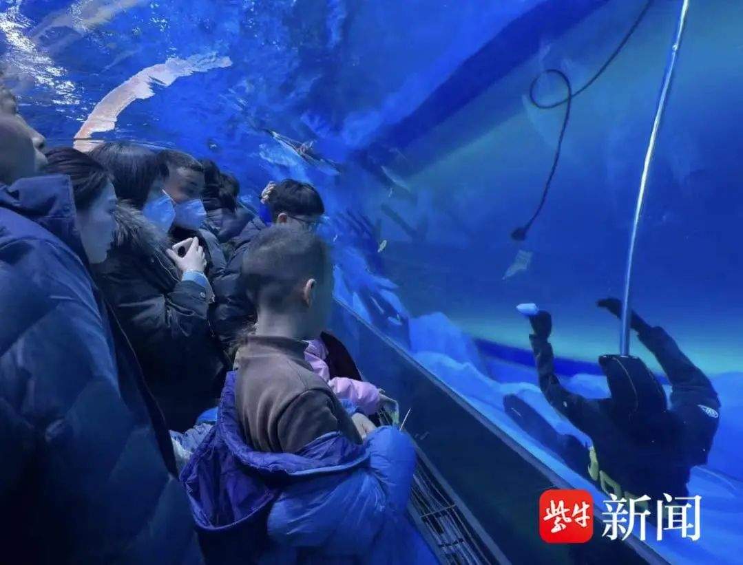 郑州一海洋馆潜水员正在馆内溺亡，众名逛客目击