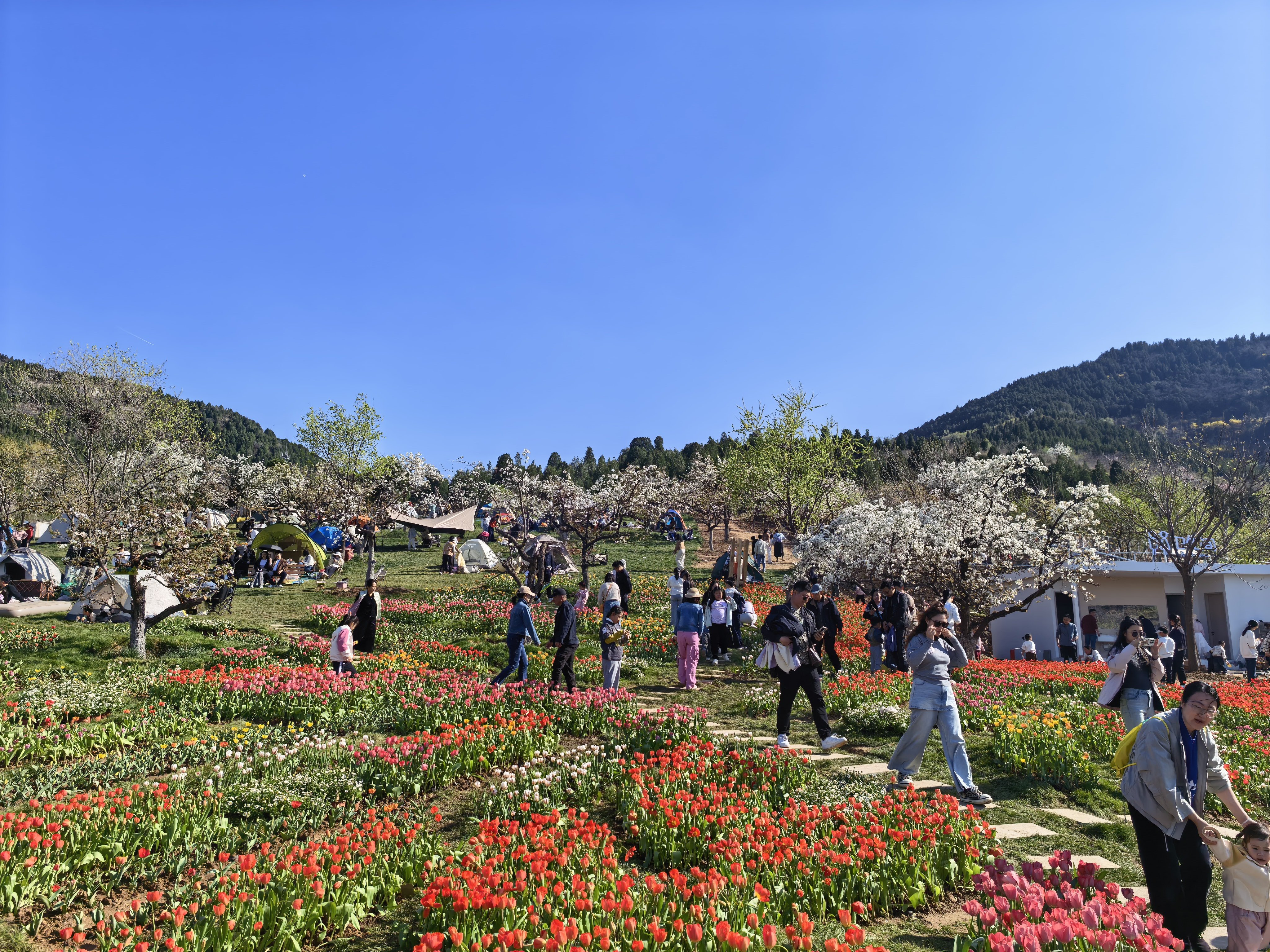 春日近郊游，你“赴约”了吗?