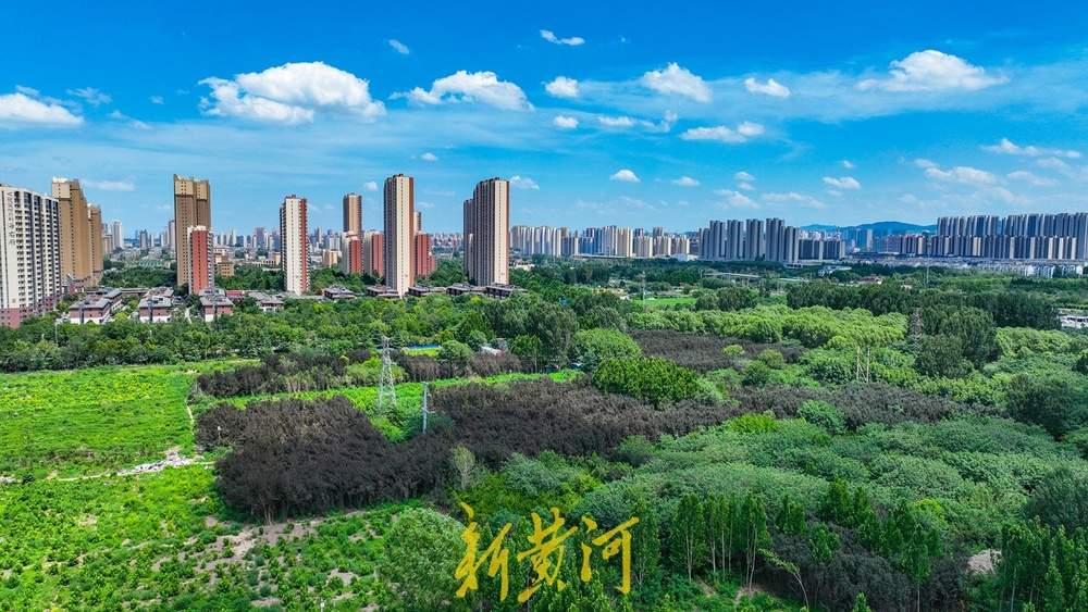 济南大辛庄遗址公园项目一期全貌初步显现