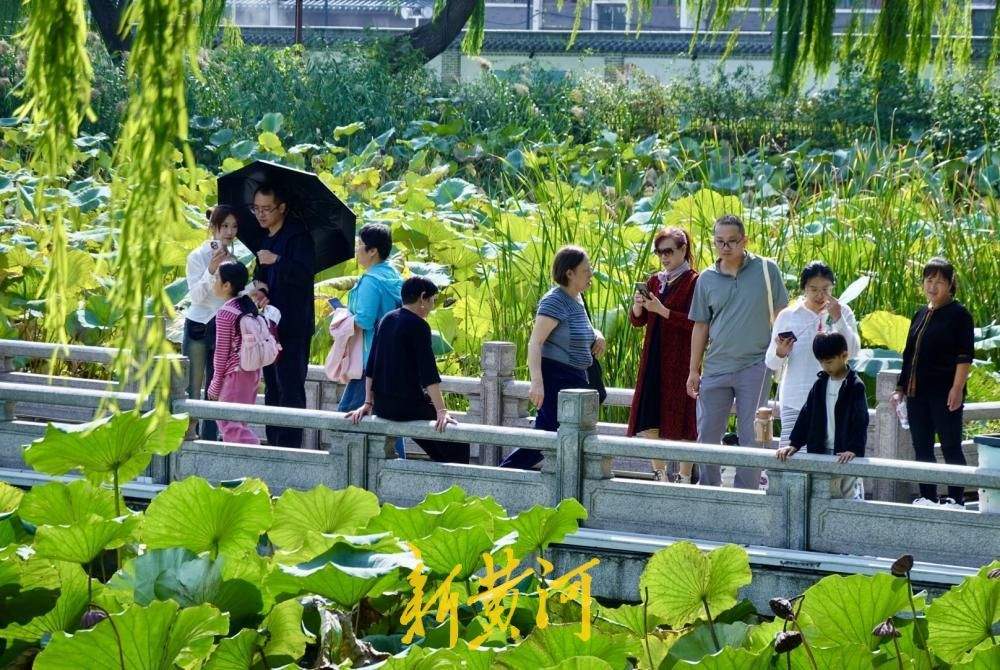 秋高气爽，大明湖畔游人乐享假期