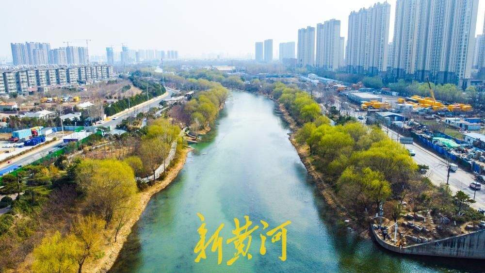一年四季 泉在济南丨万条垂下绿丝绦 济南小清河尽染春意浓