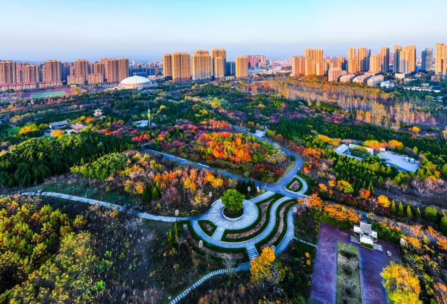 向未来 挑大梁 章丘擘画现代化强区新篇章