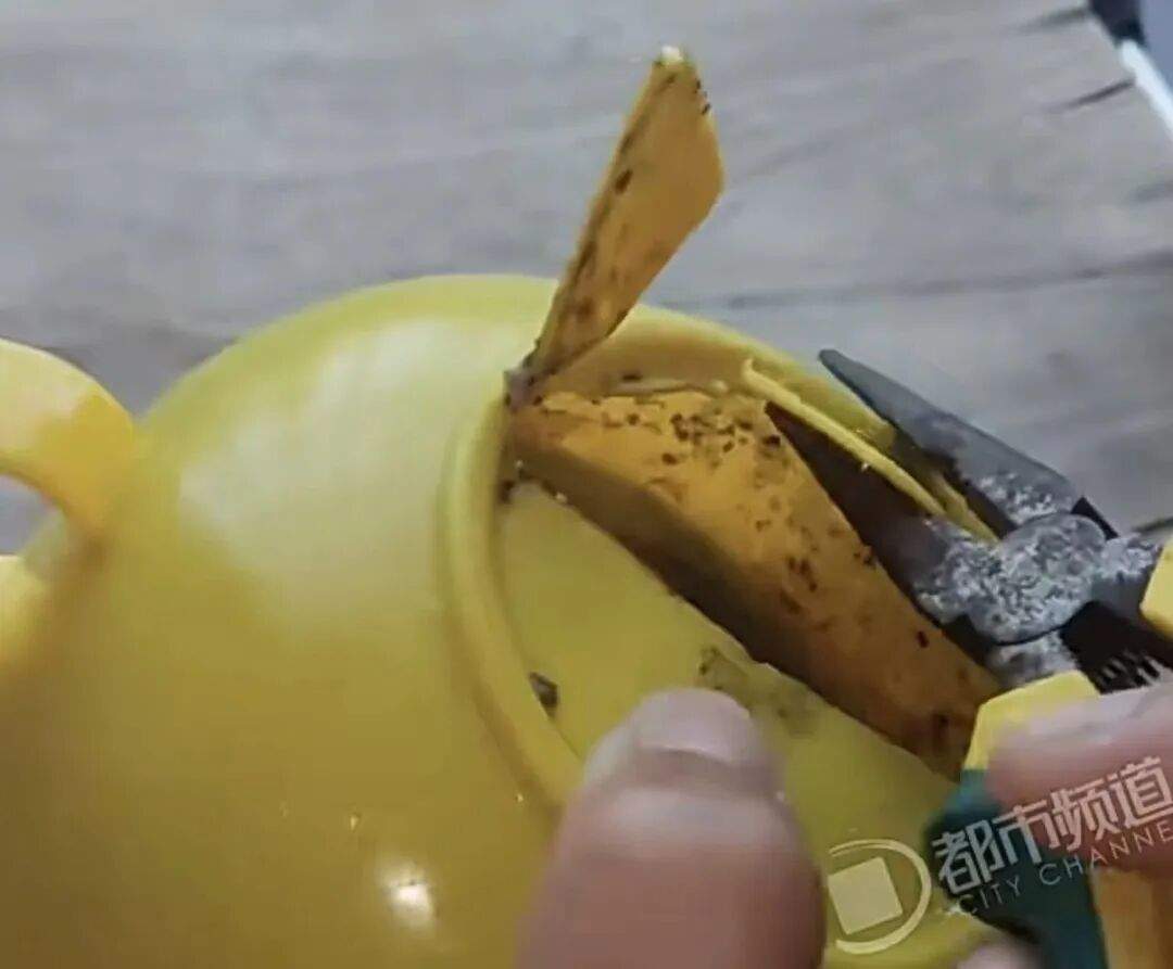 妈妈偶然摔坏孩子的宝宝碗 里面满是霉菌，水是臭的