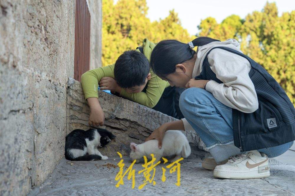 跟着悟空游济南！感受四门塔“猫猫寺”的魅力 