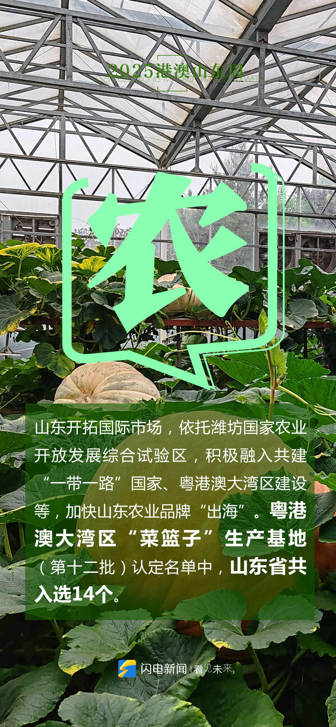 闪电海报｜共赴“香江之约”，五个关键字读懂鲁港澳