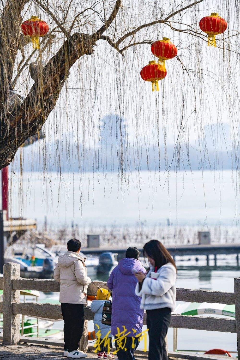一年四季 泉在济南丨冬日暖阳短暂回归，市民大明湖畔享惬意时光