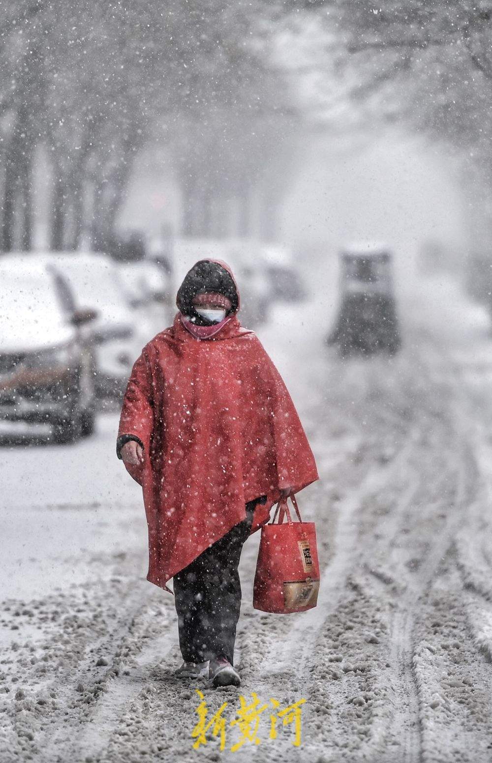 泉城暴雪如约而至 市民冒雪前行