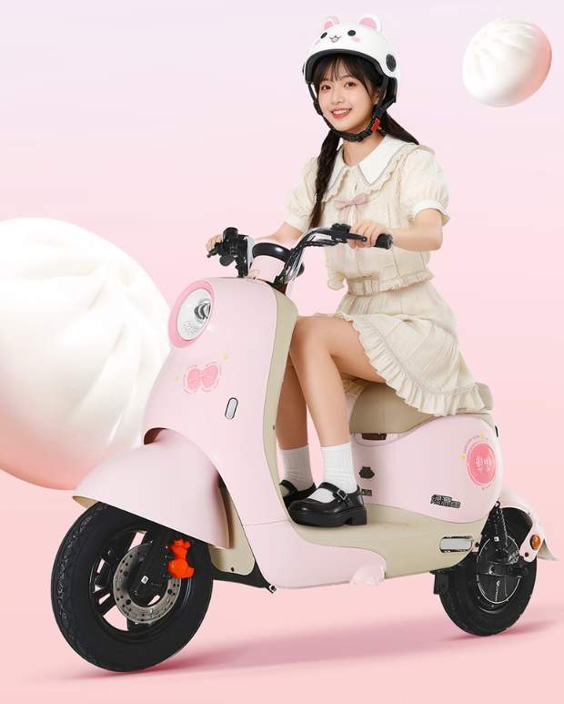 鲁大师2月电动两轮车榜：九号稳居榜首，系统体验成新赛点