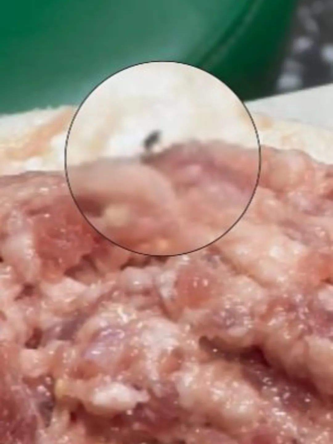 袁记云饺被曝后厨肉馅上有飞虫，此前蚯蚓一事备受关注