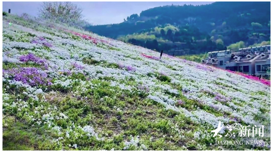 燕子、蝎子、蚰蜒、老虎……泉城济南竟然有一套有趣的“动物山名图谱”