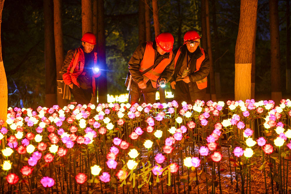 泉畔新春灯饰亮相 玫瑰花海与芦苇光影共绘泉城夜色