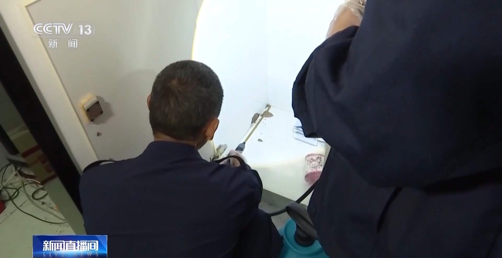 白蚁进入集中分飞期 注意家中门窗闭合不留缝隙