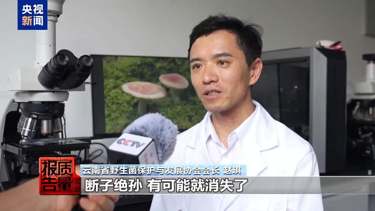 云南大理“采菌游”爆火 无序采摘已引发多起警情