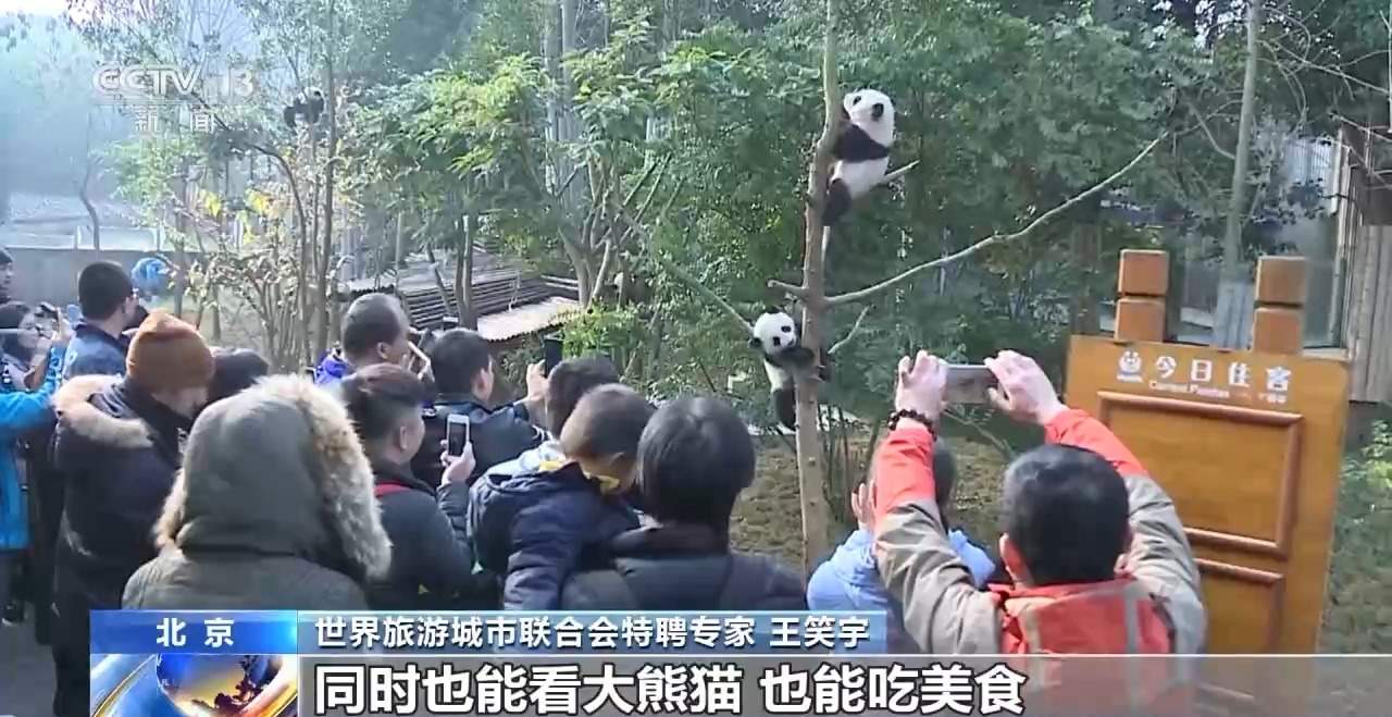 深度游体验再升级 外国游客的中国游“隐藏玩法”竟有这么多