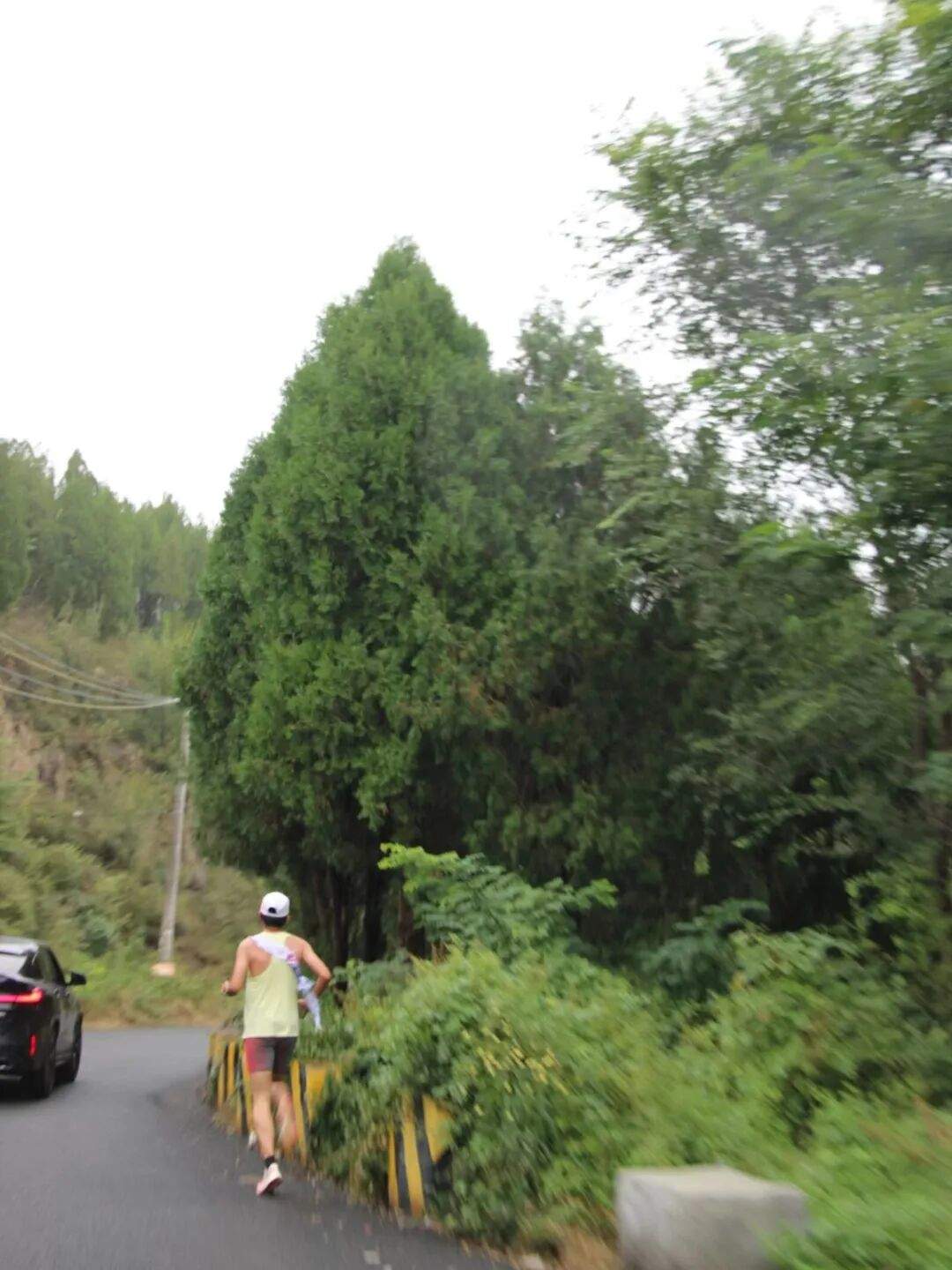 山大附中版强风吹拂!13名少年接力跑完成148.73公里“泰山驿传”