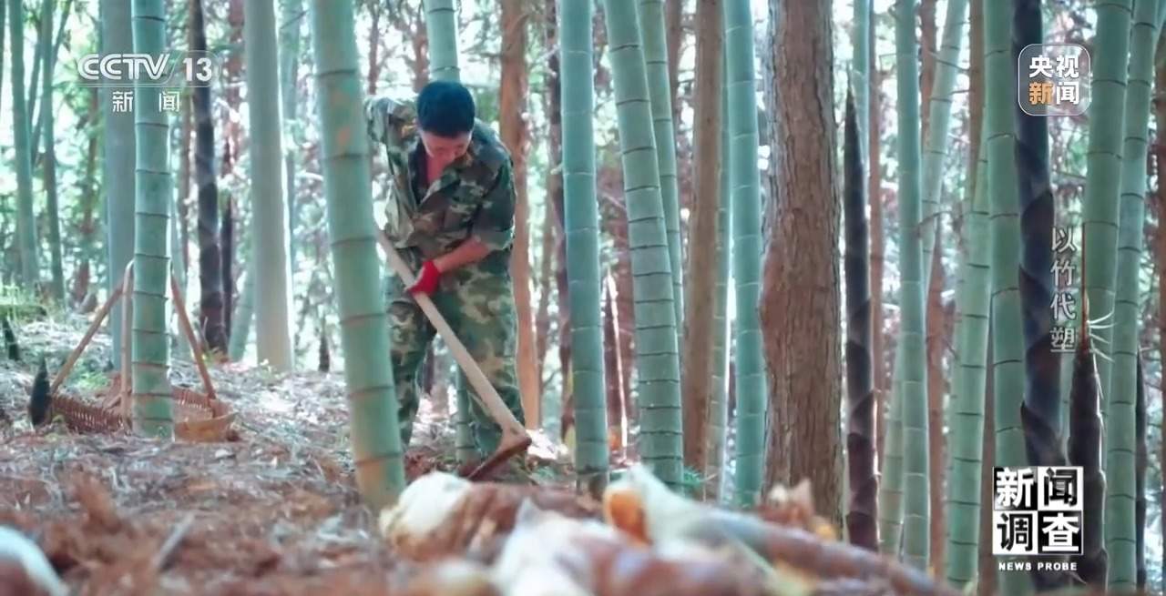 竹子做成无人机 闯进汽车圈 一根竹子的潜力远超想象