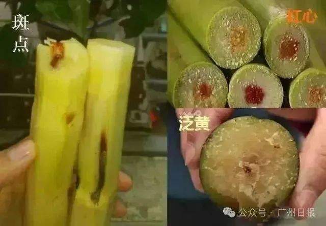 看完不敢喝了!这种街头饮品,千万别随便买!