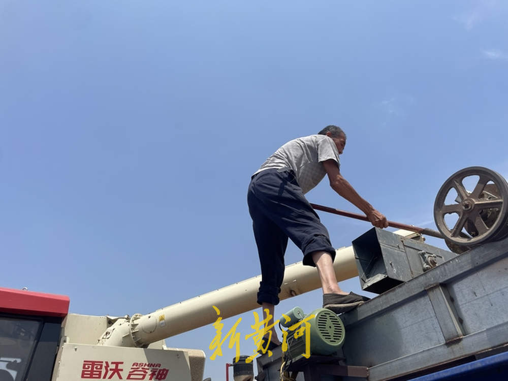 记者体验炙烤下的麦收：收割机驾驶室有空调，一小时割完20亩麦子