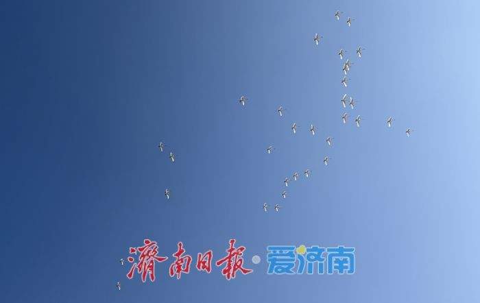 “泉”在济南过大年｜