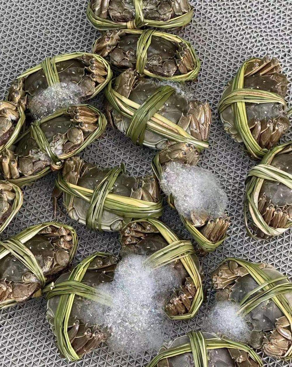 喝黄河水长大，青壳白肚金爪黄毛的济南本土大闸蟹来了