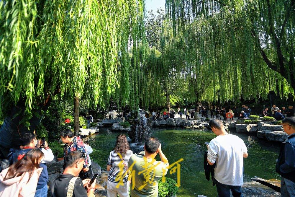 趵突泉水位刷新纪录，五龙潭“月牙飞瀑”胜景壮观