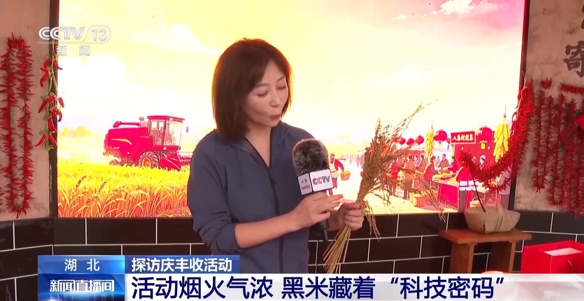 解码农业“育种芯片” 科技创新改变农业生产