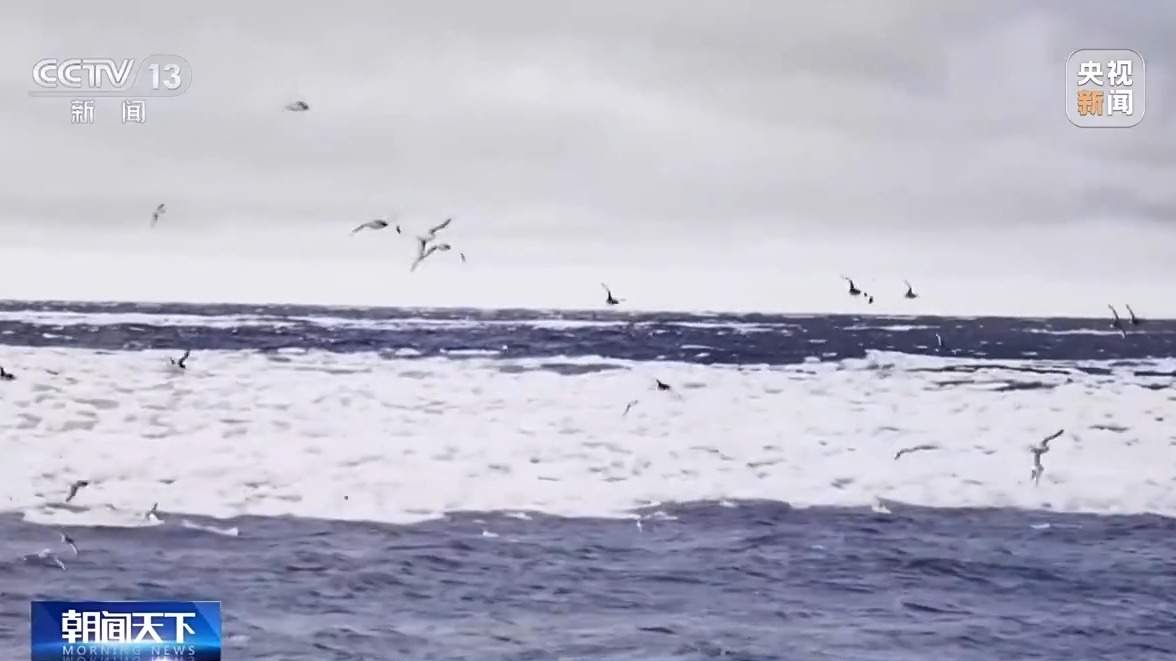 我国首次南大洋秋季科考为什么选择罗斯海?