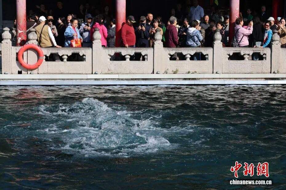 人这一辈子，一定要去济南赏一次泉！