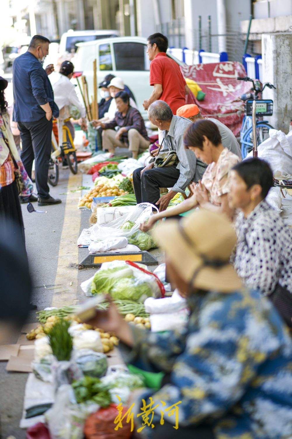 夏季水果“出山进城” 市区里的南山市集火起来