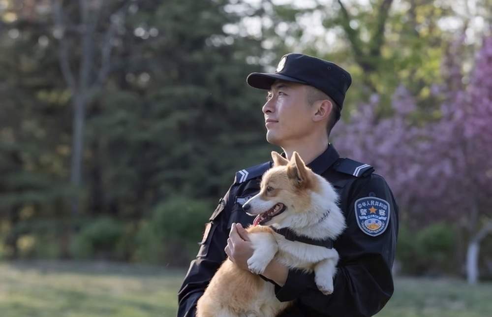 “小短腿”解锁新技能！网红柯基警犬“空降”泉城