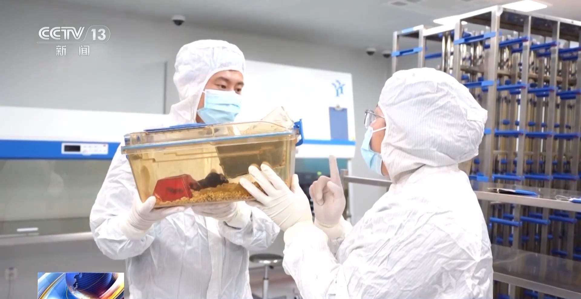 航天小鼠已顺利产下三窝后代 空间繁育研究获新进展