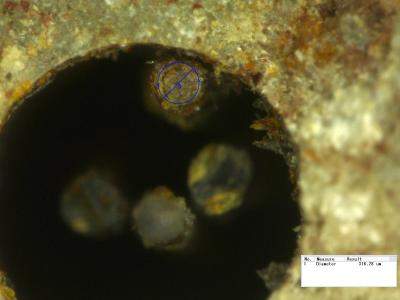 海昏侯墓发现我国迄今最早钢制医用毫针