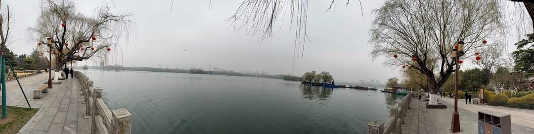 清风柳绿，春到大明湖