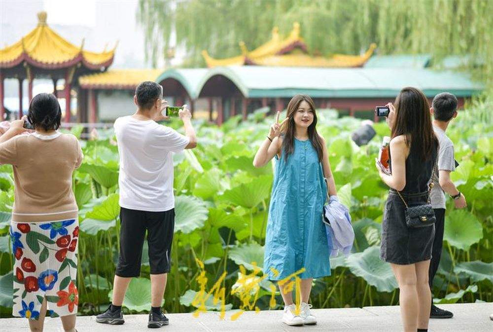 大明湖迎来暑期旅游高峰 赏荷打卡享受清凉一“夏”