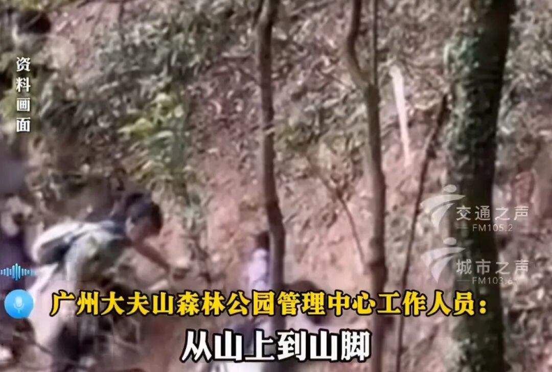 马年“画马”路线被叫停后，官方再出手！