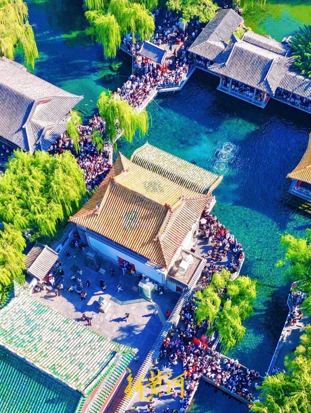 泉城晴好秋意暖，“趵突腾空”引客来