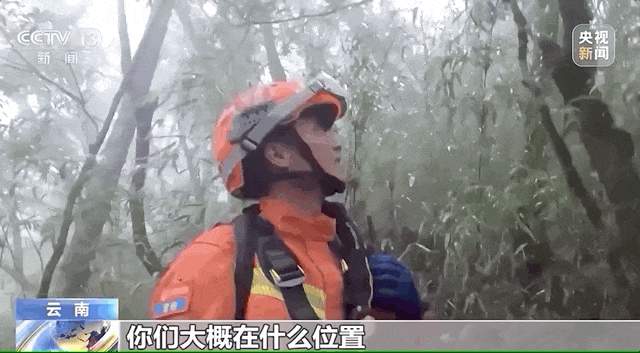 “鸟类叫声像人说话，令人害怕” 记者回忆哀牢山科考经历