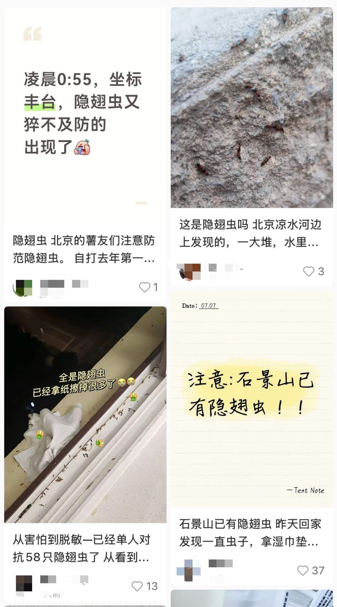 北方多地已出现，被称为“飞行的硫酸”？紧急提醒