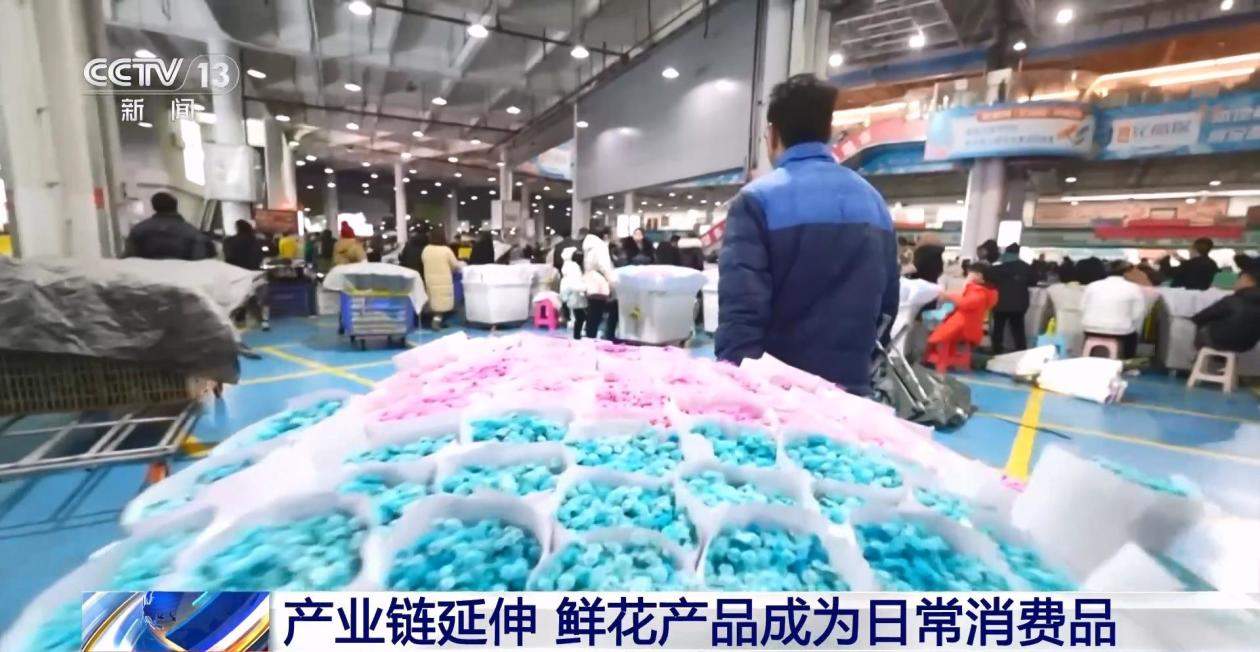 全年销售额将破2000亿 我国卖出的花可绕地球多少圈？