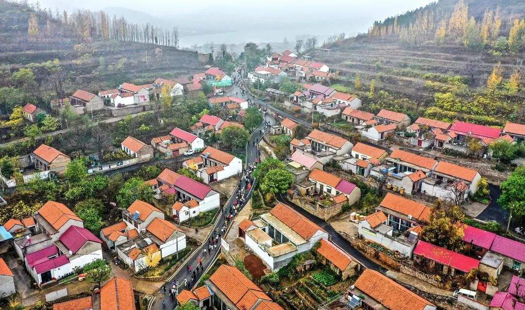 省情研究所|片区化推进乡村振兴的山东实践:从“连片”向“深融”