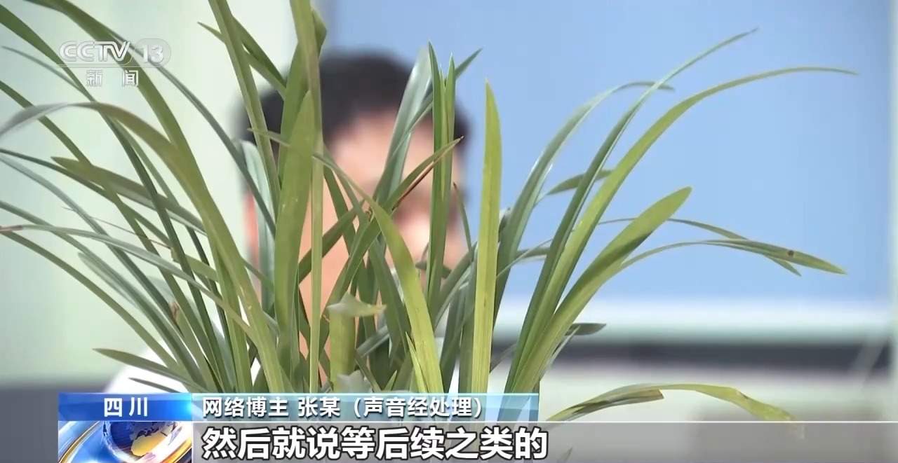 网购“血胶囊”制造“斗殴”场面 起底网络直播造假乱象