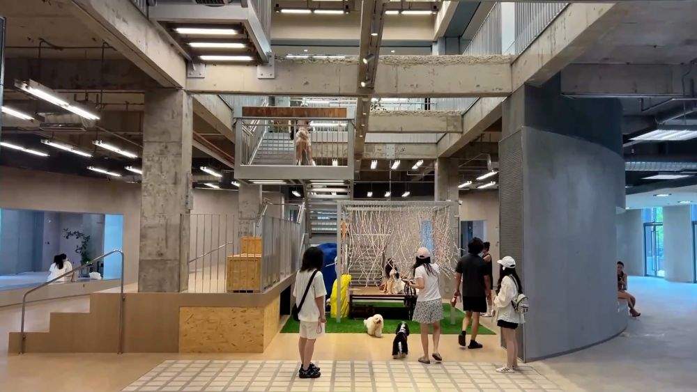 新华视点｜多元消费新图景 释放增长新势能